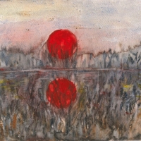disegno-Danio-Manfredini