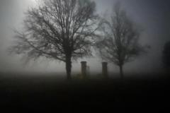 PHOTO-2026-02-09-12-40-45_1