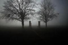 PHOTO-2026-02-09-12-40-45_2