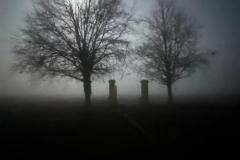 PHOTO-2026-02-09-12-40-45_3